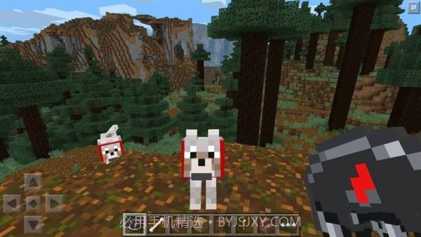 minecraft国际基岩版截图4