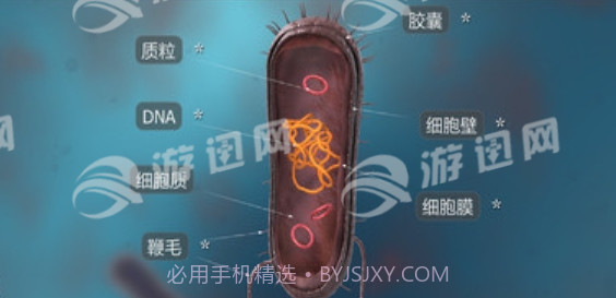 细菌互动教育免费版截图1 细菌互动教育免费版截图1