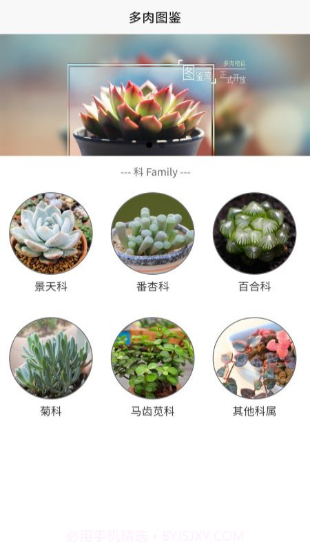 潮句多肉植物汇截图2
