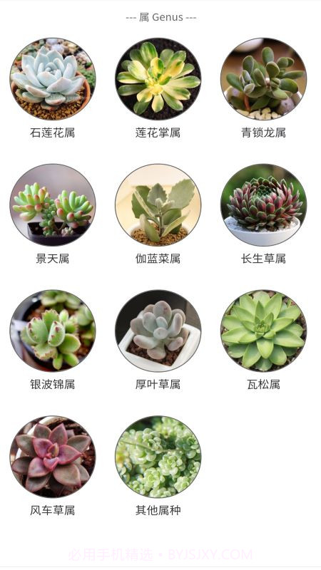 潮句多肉植物汇截图4
