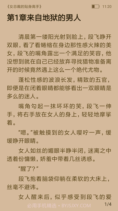 飞跃看书官网版截图4