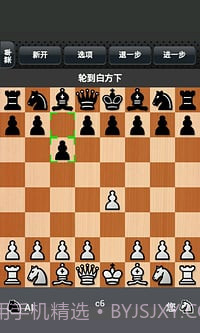 国际象棋下载截图4