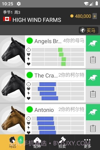 马赛跑截图3