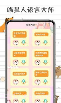 小猫交流器截图1 小猫交流器截图1
