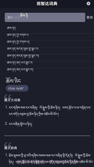 班智达词典截图4 班智达词典截图4