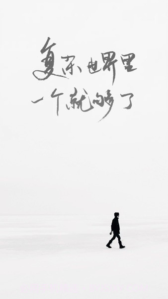 一个手机版截图1