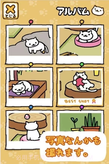 猫咪后院最新汉化版截图3 猫咪后院最新汉化版截图3