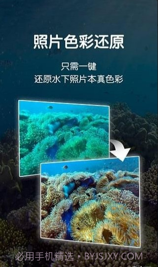 Dive+截图4 Dive+截图4