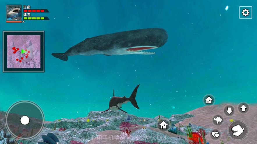 3D海底大猎杀-饥饿鲨截图3