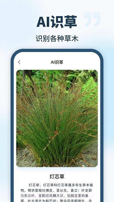 ailab识别截图3 ailab识别截图3