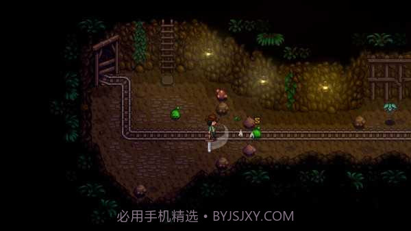 星露谷物语无限金币无限物品截图2