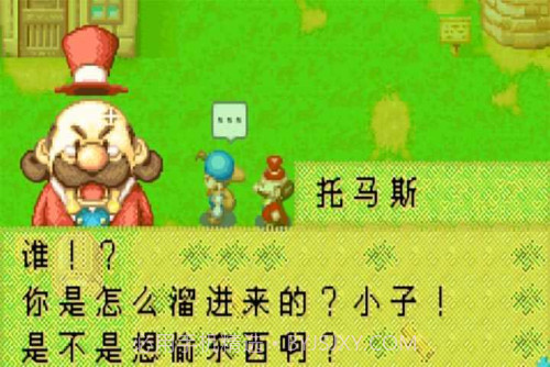 开罗牧场物语截图1 开罗牧场物语截图1