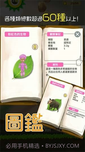 罕见生物的水族箱截图2 罕见生物的水族箱截图2