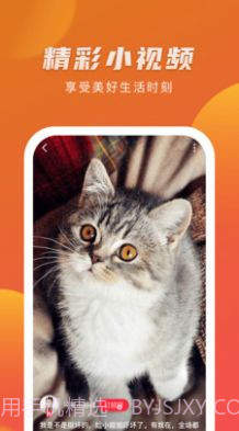 爱情岛视频截图1 爱情岛视频截图1