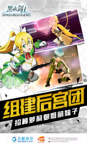 刀剑神域-黑衣剑士截图2