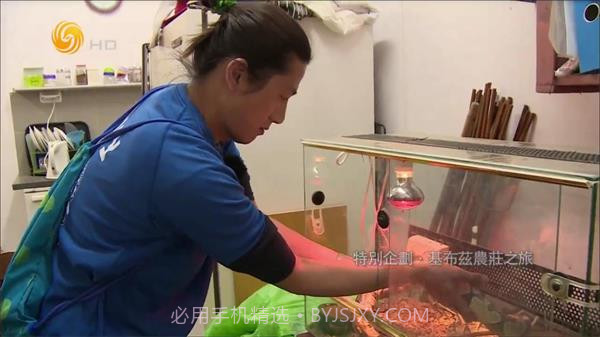 大视界tv港澳台版截图3