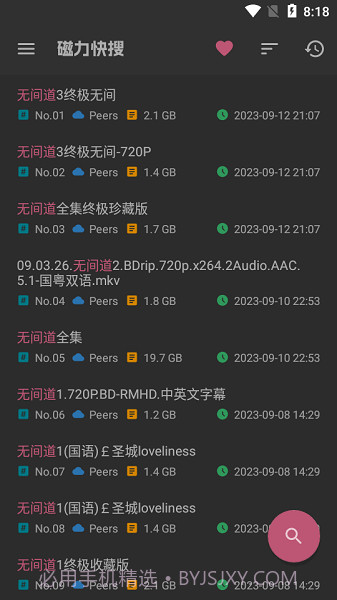 磁力快搜截图3