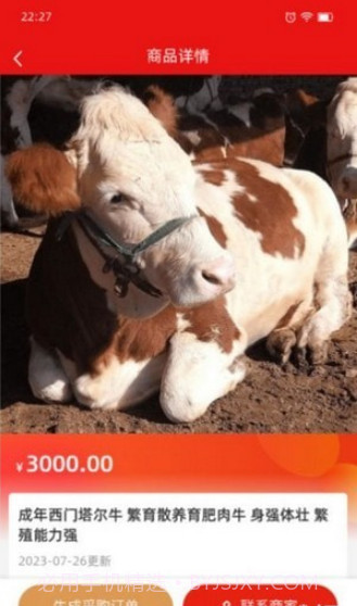 肉牛网截图3