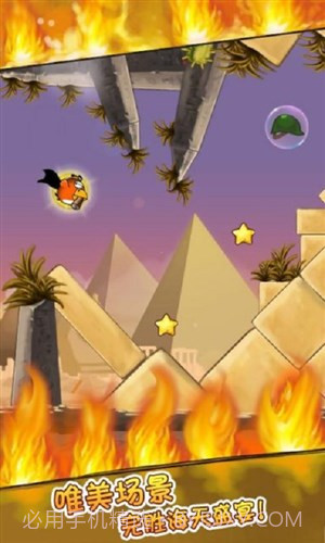 全民鸟截图2 全民鸟截图2