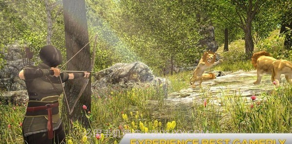 猎鹿王2021截图2 猎鹿王2021截图2