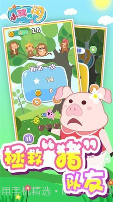小猪快闪截图4 小猪快闪截图4