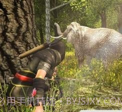 猎鹿王2021截图4 猎鹿王2021截图4