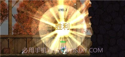 丸霸双人决斗截图1