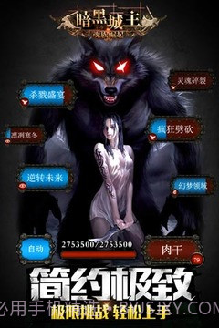 暗黑城主单机版截图5