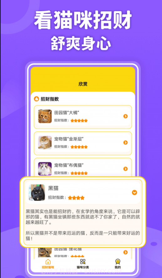 招财进猫截图1 招财进猫截图1