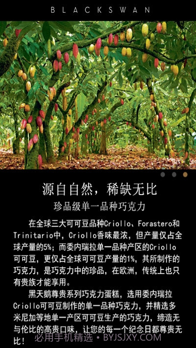 黑天鹅蛋糕截图3