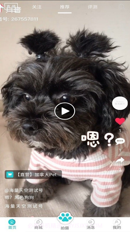 分分宠最新版截图1