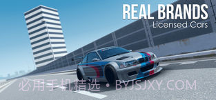 Assoluto Racing截图2