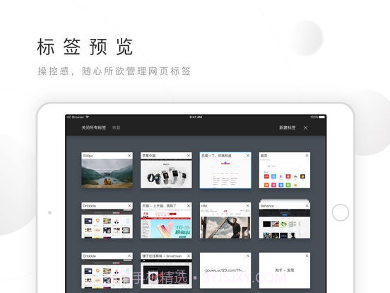 松鼠图标的浏览器截图4 松鼠图标的浏览器截图4