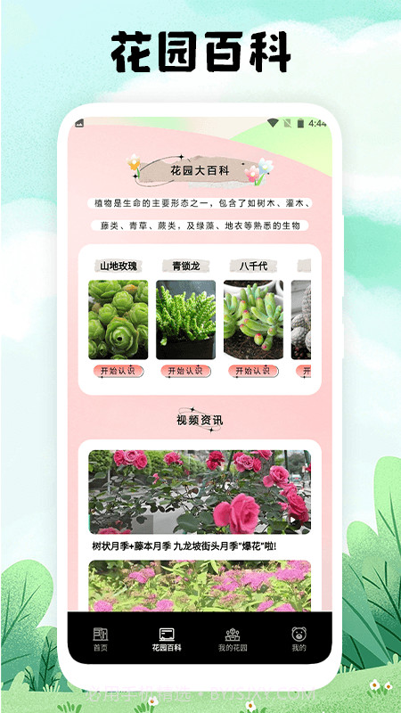 万物识图手机版截图4