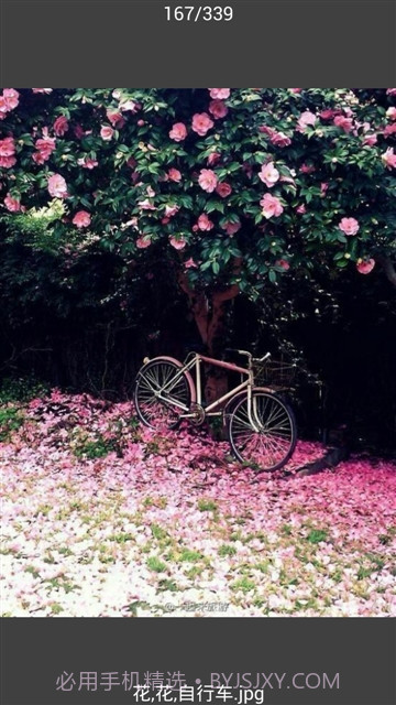 All图片批量下载截图3 All图片批量下载截图3