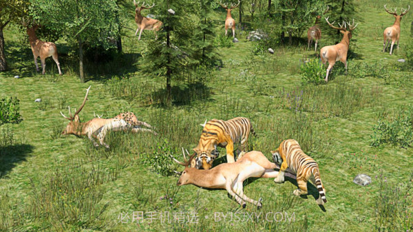 野生老虎模拟器官网版截图3
