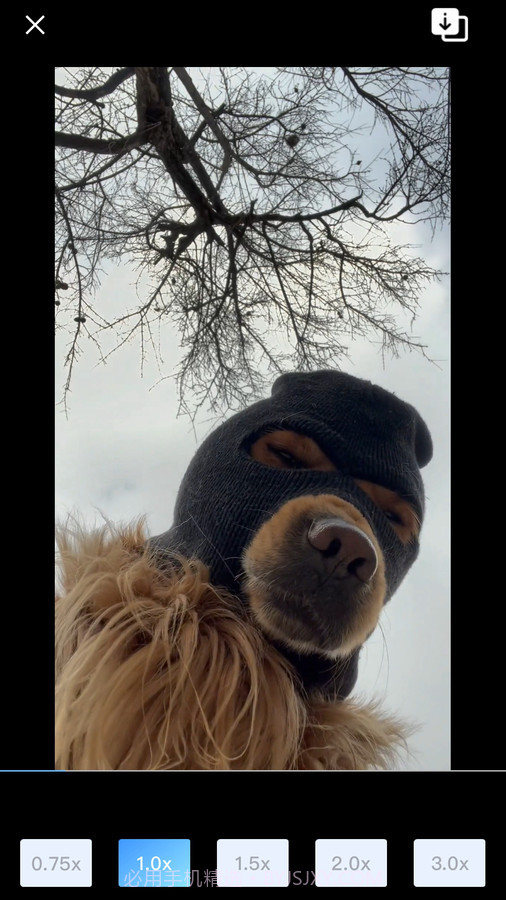 悟空智能遥控截图2