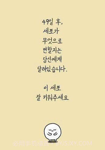 我和细胞的49天生活截图3