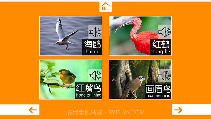 动物叫声最新版截图1 动物叫声最新版截图1