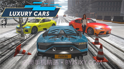 停车之王驾驶城市截图3