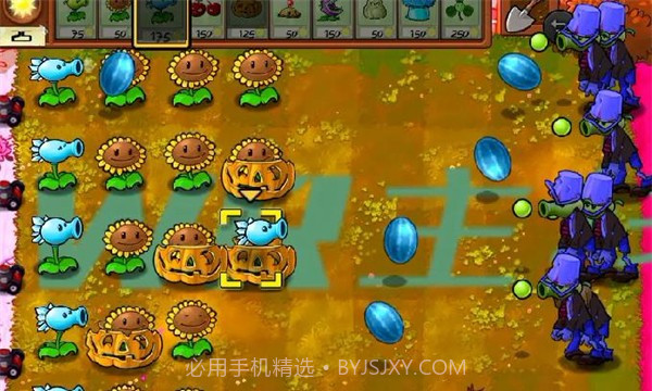 植物大战僵尸WR版主线截图2