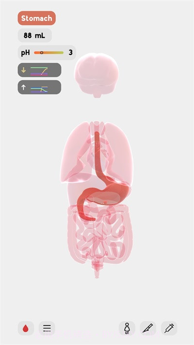 生命人体模拟器截图4