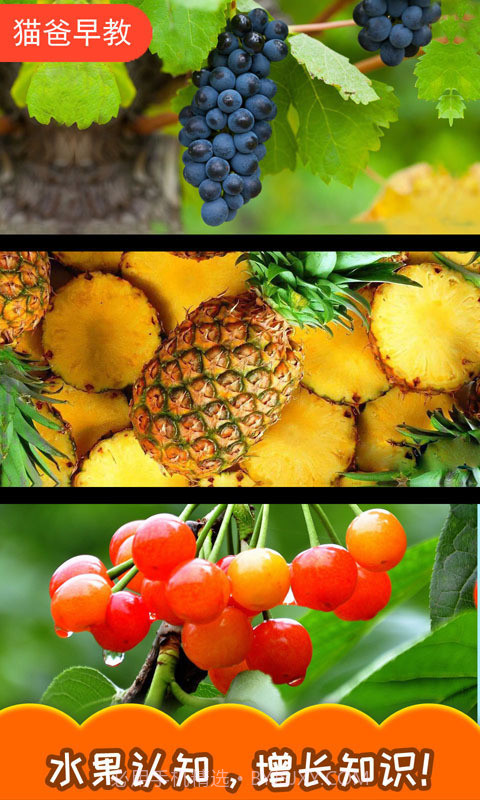 宝宝切水果截图4 宝宝切水果截图4