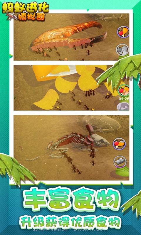 蚂蚁进化模拟器截图4