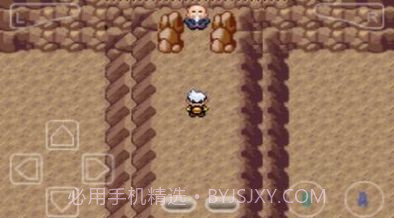 口袋妖怪花月残截图1