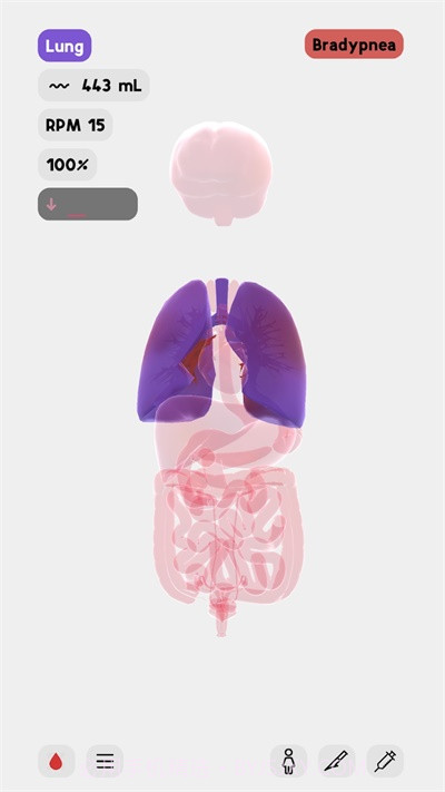 生命人体模拟器截图1