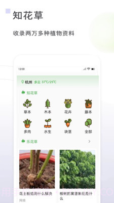一花草截图1