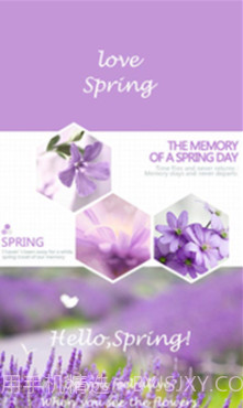 你好春天(你好春天壁纸软件)v3.5.14 正式版截图4