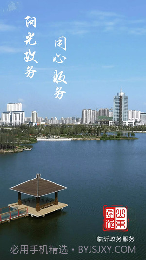 临沂政务服务截图1