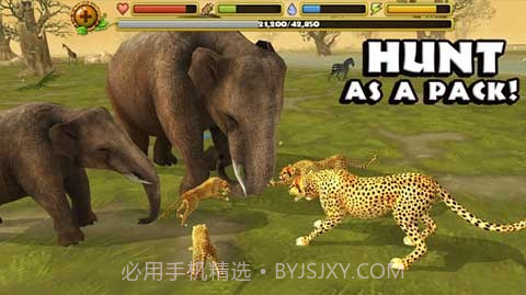 猎豹模拟器截图2